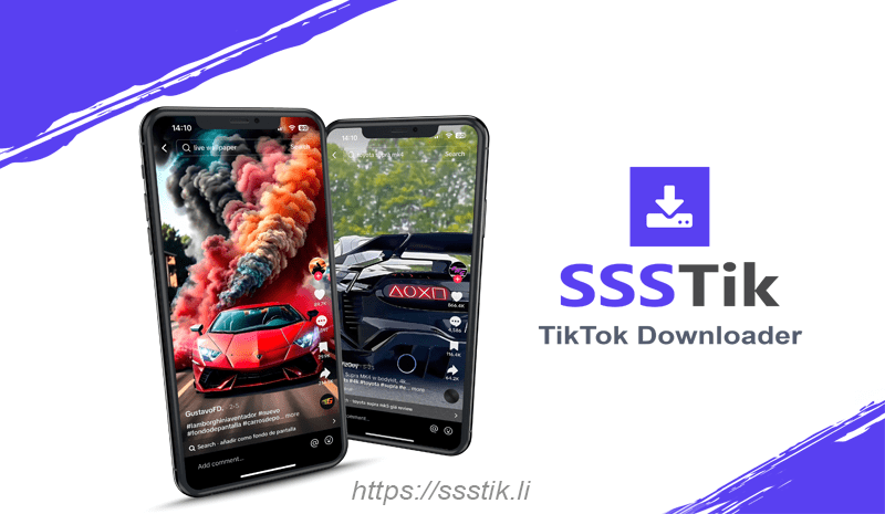 SSSTik Downloader